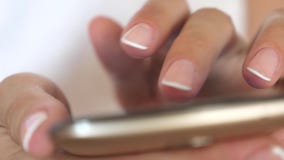 Τα χέρια των γυναικών κρατούν το smartphone και τη μηχανή αναζήτησης ο ιστοχώρος και το ηλεκτρονικό ταχυδρομείο E Το χέρι ενός κο απόθεμα βίντεο Τα χέρια των γυναικών κρατούν το smartphone και τη μηχανή αναζήτησης ο ιστοχώρος και το ηλεκτρονικό ταχυδρομείο E Το χέρι ενός κο απόθεμα βίντεο