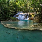 Τα ψάρια κολυμπούν στο νερό aqua στο κατώτατο σημείο μιας σειράς όμορφων κοντών καταρρακτών στο πυκνό δάσος Erawan στοκ εικόνες Τα ψάρια κολυμπούν στο νερό aqua στο κατώτατο σημείο μιας σειράς όμορφων κοντών καταρρακτών στο πυκνό δάσος Erawan στοκ εικόνες