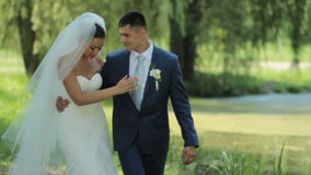 Τα όμορφα newlyweds αγκαλιάζουν ήπια συνδέστε τις νεολαίες αγάπης αγάπη τρυφερότητας απόθεμα βίντεο Τα όμορφα newlyweds αγκαλιάζουν ήπια συνδέστε τις νεολαίες αγάπης αγάπη τρυφερότητας απόθεμα βίντεο