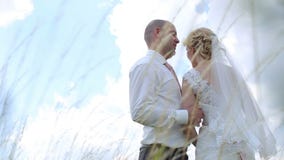 Τα όμορφα newlyweds συνδέουν, νύφη και νεόνυμφος που στέκονται σε έναν τομέα και που κρατούν τα χέρια ενάντια στο μπλε ουρανό απόθεμα βίντεο Τα όμορφα newlyweds συνδέουν, νύφη και νεόνυμφος που στέκονται σε έναν τομέα και που κρατούν τα χέρια ενάντια στο μπλε ουρανό απόθεμα βίντεο