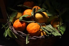 Ταξίδι Ισπανία: σύνολο κύπελλων των ώριμων λεμονιών και των πορτοκαλιών στοκ φωτογραφίες με δικαίωμα ελεύθερης χρήσης Ταξίδι Ισπανία: σύνολο κύπελλων των ώριμων λεμονιών και των πορτοκαλιών στοκ φωτογραφίες με δικαίωμα ελεύθερης χρήσης