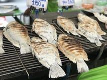 Ταϊλανδικά τρόφιμα, ψημένα στη σχάρα ψάρια με το αλάτι στοκ εικόνες Ταϊλανδικά τρόφιμα, ψημένα στη σχάρα ψάρια με το αλάτι στοκ εικόνες