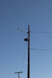 Τηλέφωνο Πολωνός με έναν μπλε ουρανό στοκ φωτογραφίες με δικαίωμα ελεύθερης χρήσης Τηλέφωνο Πολωνός με έναν μπλε ουρανό στοκ φωτογραφίες με δικαίωμα ελεύθερης χρήσης