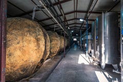 Της Γεωργίας οινοποιία Kindzmarauli στοκ φωτογραφία Της Γεωργίας οινοποιία Kindzmarauli στοκ φωτογραφία