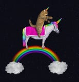 Το Caticorn οδηγά έναν μονόκερο στο ουράνιο τόξο στοκ φωτογραφία με δικαίωμα ελεύθερης χρήσης Το Caticorn οδηγά έναν μονόκερο στο ουράνιο τόξο στοκ φωτογραφία με δικαίωμα ελεύθερης χρήσης
