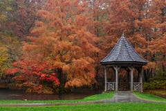 Το gazebo κήπων Gibbs που περιβάλλεται από τα μεγαλοπρεπείς μμένους πορτοκαλιούς φαλακρούς δέντρα και τους σφενδάμνους κυπαρισσιώ στοκ φωτογραφία με δικαίωμα ελεύθερης χρήσης Το gazebo κήπων Gibbs που περιβάλλεται από τα μεγαλοπρεπείς μμένους πορτοκαλιούς φαλακρούς δέντρα και τους σφενδάμνους κυπαρισσιώ στοκ φωτογραφία με δικαίωμα ελεύθερης χρήσης