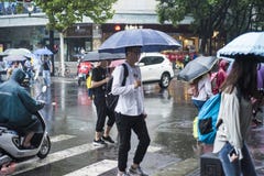 Το It’s που βρέχουν το πρωί, και οι πεζοί που περπατούν μέσω του δρόμου περνούν από τη διατομή στοκ φωτογραφία με δικαίωμα ελεύθερης χρήσης Το It’s που βρέχουν το πρωί, και οι πεζοί που περπατούν μέσω του δρόμου περνούν από τη διατομή στοκ φωτογραφία με δικαίωμα ελεύθερης χρήσης
