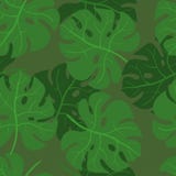 Το Monstera αφήνει το άνευ ραφής σχέδιο Διανυσματική σύσταση των τροπικών φύλλων διανυσματική απεικόνιση Το Monstera αφήνει το άνευ ραφής σχέδιο Διανυσματική σύσταση των τροπικών φύλλων διανυσματική απεικόνιση
