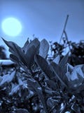 Το Nightmode χτυπούν & η ομορφιά φύσης έκδοσης στοκ φωτογραφία Το Nightmode χτυπούν & η ομορφιά φύσης έκδοσης στοκ φωτογραφία