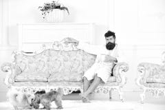 Το άτομο με τη γενειάδα και mustache απολαμβάνει το πρωί καθμένος στον καναπέ πολυτέλειας Έννοια ελεύθερου χρόνου ελίτ Άτομο στο στοκ εικόνες Το άτομο με τη γενειάδα και mustache απολαμβάνει το πρωί καθμένος στον καναπέ πολυτέλειας Έννοια ελεύθερου χρόνου ελίτ Άτομο στο στοκ εικόνες