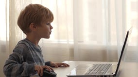 Το αγόρι κάθεται σε ένα lap-top ενάντια στο παράθυρο απόθεμα βίντεο Το αγόρι κάθεται σε ένα lap-top ενάντια στο παράθυρο απόθεμα βίντεο