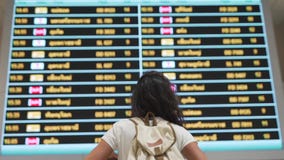 Το κορίτσι ταξιδιού εξετάζει τον πίνακα αερολιμένων φιλμ μικρού μήκους Το κορίτσι ταξιδιού εξετάζει τον πίνακα αερολιμένων φιλμ μικρού μήκους