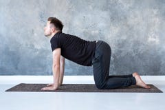 Το νέα bitilasana asana γιόγκας πρακτικών ατόμων γιόγκη ή η αγελάδα γατών θέτει στοκ φωτογραφίες Το νέα bitilasana asana γιόγκας πρακτικών ατόμων γιόγκη ή η αγελάδα γατών θέτει στοκ φωτογραφίες
