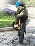Το παιδί κάθεται σε ένα ποδήλατο στο πάρκο το φθινόπωρο στοκ εικόνες Το παιδί κάθεται σε ένα ποδήλατο στο πάρκο το φθινόπωρο στοκ εικόνες