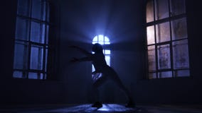 Το πρόσωπο χορευτών μπαλέτου γυναικών στο θεατή κάνει το χορευτικό βήμα, σκιαγραφία φιλμ μικρού μήκους Το πρόσωπο χορευτών μπαλέτου γυναικών στο θεατή κάνει το χορευτικό βήμα, σκιαγραφία φιλμ μικρού μήκους