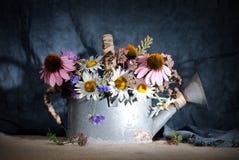 Το πότισμα μπορεί με τα wildflowers Στοκ Φωτογραφίες Το πότισμα μπορεί με τα wildflowers Στοκ Φωτογραφίες