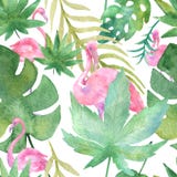 Το τροπικό σχέδιο Watercolor, αυξήθηκε πουλί και φοίνικας πρασινάδων, τροπική πράσινη σύσταση, εξωτικό λουλούδι απεικόνιση αποθεμάτων Το τροπικό σχέδιο Watercolor, αυξήθηκε πουλί και φοίνικας πρασινάδων, τροπική πράσινη σύσταση, εξωτικό λουλούδι απεικόνιση αποθεμάτων