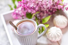 Το τσάι εξυπηρέτησε σε ένα κιβώτιο δώρων με marshmallows και μια ανθοδέσμη μιας πασχαλιάς o στοκ εικόνες Το τσάι εξυπηρέτησε σε ένα κιβώτιο δώρων με marshmallows και μια ανθοδέσμη μιας πασχαλιάς o στοκ εικόνες