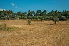 Τομέας που καλύπτεται από το ξηρό άχυρο και την παλαιά αγροικία στοκ φωτογραφία με δικαίωμα ελεύθερης χρήσης Τομέας που καλύπτεται από το ξηρό άχυρο και την παλαιά αγροικία στοκ φωτογραφία με δικαίωμα ελεύθερης χρήσης