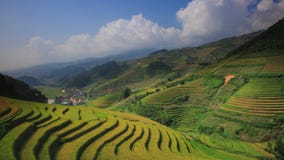 Τομείς ρυζιού terraced της MU Cang Chai, YenBai, Βιετνάμ απόθεμα βίντεο Τομείς ρυζιού terraced της MU Cang Chai, YenBai, Βιετνάμ απόθεμα βίντεο
