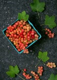 Τοπ άποψη Rosa και των άσπρων σταφίδων σε ένα κουτί από χαρτόνι σε ένα σκοτεινό αγροτικό υπόβαθρο στοκ εικόνες με δικαίωμα ελεύθερης χρήσης Τοπ άποψη Rosa και των άσπρων σταφίδων σε ένα κουτί από χαρτόνι σε ένα σκοτεινό αγροτικό υπόβαθρο στοκ εικόνες με δικαίωμα ελεύθερης χρήσης