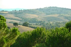 Τοπίο Toscany στοκ εικόνα Τοπίο Toscany στοκ εικόνα