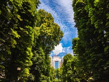 Τοπίο κάτω από το multi-storey σπίτι κατασκευής ενάντια στον ουρανό στοκ φωτογραφία με δικαίωμα ελεύθερης χρήσης Τοπίο κάτω από το multi-storey σπίτι κατασκευής ενάντια στον ουρανό στοκ φωτογραφία με δικαίωμα ελεύθερης χρήσης