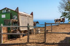 Τοπίο με τις απόψεις του αγροκτήματος, της καλύβας από το αυτοκίνητο σιδηροδρόμων και των βοοειδών στοκ φωτογραφία με δικαίωμα ελεύθερης χρήσης Τοπίο με τις απόψεις του αγροκτήματος, της καλύβας από το αυτοκίνητο σιδηροδρόμων και των βοοειδών στοκ φωτογραφία με δικαίωμα ελεύθερης χρήσης