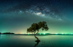 Τοπίο με το γαλακτώδη γαλαξία τρόπων αστέρια νυχτερινού ουρα&nu Τοπίο με το γαλακτώδη γαλαξία τρόπων αστέρια νυχτερινού ουρα&nu