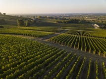 Τοπίο Μπορντώ wineyard Γαλλία, φύση ηλιοβασιλέματος στοκ φωτογραφίες με δικαίωμα ελεύθερης χρήσης Τοπίο Μπορντώ wineyard Γαλλία, φύση ηλιοβασιλέματος στοκ φωτογραφίες με δικαίωμα ελεύθερης χρήσης