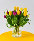 Τουλίπες vase στοκ εικόνες Τουλίπες vase στοκ εικόνες