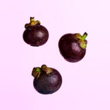 Τρία mangosteens που επιπλέουν πέρα από ένα ρόδινο υπόβαθρο στοκ εικόνα Τρία mangosteens που επιπλέουν πέρα από ένα ρόδινο υπόβαθρο στοκ εικόνα