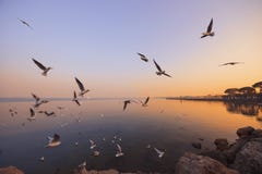 Τραπείτε σε φυγή στοκ φωτογραφία με δικαίωμα ελεύθερης χρήσης Τραπείτε σε φυγή στοκ φωτογραφία με δικαίωμα ελεύθερης χρήσης