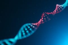 τρισδιάστατο μόριο DNA ιών απεικόνισης, δομή Έννοια ανθρώπινο γονιδίωμ διανυσματική απεικόνιση τρισδιάστατο μόριο DNA ιών απεικόνισης, δομή Έννοια ανθρώπινο γονιδίωμ διανυσματική απεικόνιση