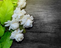 Τροπικό jasmine λουλούδι στο ξύλο Λουλούδια και φύλλα της Jasmine στο BR στοκ φωτογραφία με δικαίωμα ελεύθερης χρήσης Τροπικό jasmine λουλούδι στο ξύλο Λουλούδια και φύλλα της Jasmine στο BR στοκ φωτογραφία με δικαίωμα ελεύθερης χρήσης
