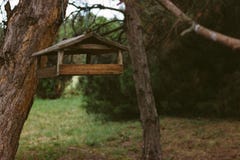 Τροφοδότες για τα πουλιά στο πάρκο πόλεων στοκ εικόνες Τροφοδότες για τα πουλιά στο πάρκο πόλεων στοκ εικόνες