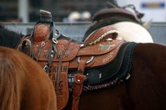 τρόπαιο σελών στοκ εικόνες τρόπαιο σελών στοκ εικόνες