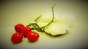 Τρόφιμα ντοματών πετρών Tomate stein muschel στοκ φωτογραφίες με δικαίωμα ελεύθερης χρήσης Τρόφιμα ντοματών πετρών Tomate stein muschel στοκ φωτογραφίες με δικαίωμα ελεύθερης χρήσης