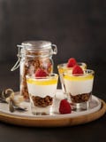 Υγιές φρέσκο granola προγευμάτων, muesli σε ένα γυαλί με τα ξύλα καρυδιάς γιαουρτιού, τα μούρα goji και τα σμέουρα στο σκοτεινό υ στοκ εικόνα Υγιές φρέσκο granola προγευμάτων, muesli σε ένα γυαλί με τα ξύλα καρυδιάς γιαουρτιού, τα μούρα goji και τα σμέουρα στο σκοτεινό υ στοκ εικόνα