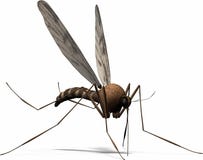 υγρός Στοκ Εικόνα υγρός Στοκ Εικόνα