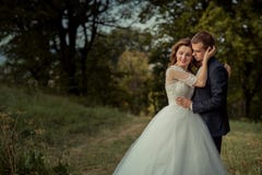 υπαίθριο πορτρέτο ρομαντ&io Μοντέρνος ελκυστικός το ζεύγος αγκαλιάζει και η πανέμορφη νύφη κτυπά μαλακά το νεόνυμφο στοκ εικόνα με δικαίωμα ελεύθερης χρήσης υπαίθριο πορτρέτο ρομαντ&io Μοντέρνος ελκυστικός το ζεύγος αγκαλιάζει και η πανέμορφη νύφη κτυπά μαλακά το νεόνυμφο στοκ εικόνα με δικαίωμα ελεύθερης χρήσης