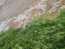 Υπόβαθρο - Riverbank με την πράσινα χλόη και γρήγορα το τρεχούμενο νερό στοκ φωτογραφία με δικαίωμα ελεύθερης χρήσης Υπόβαθρο - Riverbank με την πράσινα χλόη και γρήγορα το τρεχούμενο νερό στοκ φωτογραφία με δικαίωμα ελεύθερης χρήσης