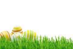 Υπόβαθρο Πάσχας με τα τριαντάφυλλα και daffodils στο άσπρο υπόβαθρο στοκ εικόνες με δικαίωμα ελεύθερης χρήσης Υπόβαθρο Πάσχας με τα τριαντάφυλλα και daffodils στο άσπρο υπόβαθρο στοκ εικόνες με δικαίωμα ελεύθερης χρήσης