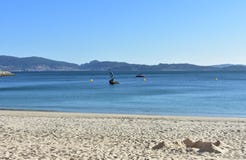 Υπόβαθρο παραλιών: Παραλία σε έναν κόλπο με το κάστρο φιαγμένο από άμμο Η φωτεινή άμμος, καθαρίζει το νερό, μπλε ουρανός Ηλιόλουσ στοκ φωτογραφία με δικαίωμα ελεύθερης χρήσης Υπόβαθρο παραλιών: Παραλία σε έναν κόλπο με το κάστρο φιαγμένο από άμμο Η φωτεινή άμμος, καθαρίζει το νερό, μπλε ουρανός Ηλιόλουσ στοκ φωτογραφία με δικαίωμα ελεύθερης χρήσης