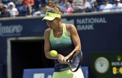 Φλυτζάνι της Simona Rogers Halep (34) στοκ φωτογραφία με δικαίωμα ελεύθερης χρήσης Φλυτζάνι της Simona Rogers Halep (34) στοκ φωτογραφία με δικαίωμα ελεύθερης χρήσης