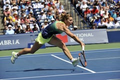 Φλυτζάνι της Simona Rogers Halep (37) στοκ εικόνες με δικαίωμα ελεύθερης χρήσης Φλυτζάνι της Simona Rogers Halep (37) στοκ εικόνες με δικαίωμα ελεύθερης χρήσης