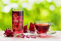 Φλυτζάνι του ζεστού hibiscus τσαγιού karkade και του ίδιου κρύου ποτού Στοκ εικόνα με δικαίωμα ελεύθερης χρήσης Φλυτζάνι του ζεστού hibiscus τσαγιού karkade και του ίδιου κρύου ποτού Στοκ εικόνα με δικαίωμα ελεύθερης χρήσης