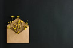 Φάκελος της Kraft με τα κίτρινα λουλούδια στο μαύρο υπόβαθρο στοκ εικόνα με δικαίωμα ελεύθερης χρήσης Φάκελος της Kraft με τα κίτρινα λουλούδια στο μαύρο υπόβαθρο στοκ εικόνα με δικαίωμα ελεύθερης χρήσης