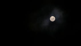Φεγγάρι στο σκοτεινό ουρανό με τα σύννεφα φιλμ μικρού μήκους Φεγγάρι στο σκοτεινό ουρανό με τα σύννεφα φιλμ μικρού μήκους