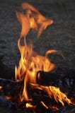 Φλόγες της πυρκαγιάς βραδιού Μεγάλος στοκ φωτογραφία με δικαίωμα ελεύθερης χρήσης Φλόγες της πυρκαγιάς βραδιού Μεγάλος στοκ φωτογραφία με δικαίωμα ελεύθερης χρήσης